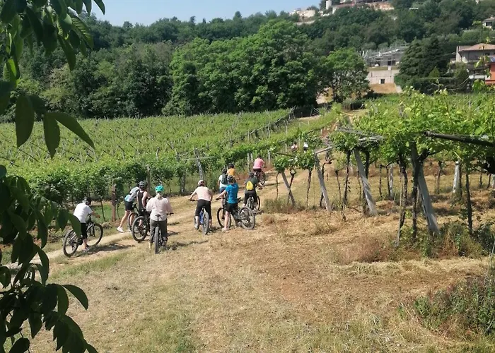 Avesa Villa *