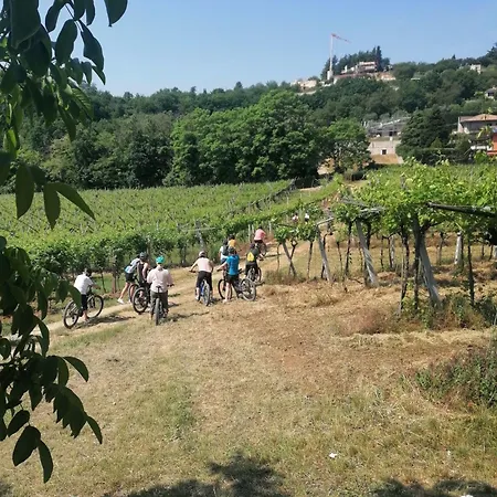 Avesa Villa *